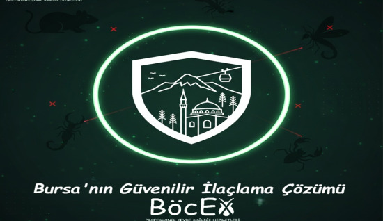 Bursa’da Haşere Sorunuyla Başa Çıkma Rehberi: Hangi Mevsimde Hangi Önlemi Almalı?