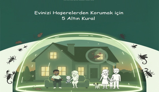 Evinizi Haşerelerden Korumak İçin 5 Altın Kural