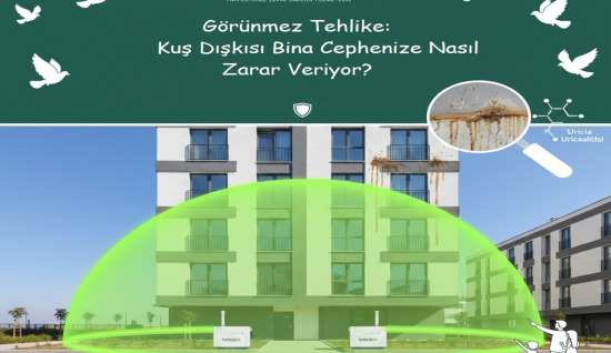 Görünmez Tehlike: Kuş Dışkısı Bina Cephenize Nasıl Zarar Veriyor?