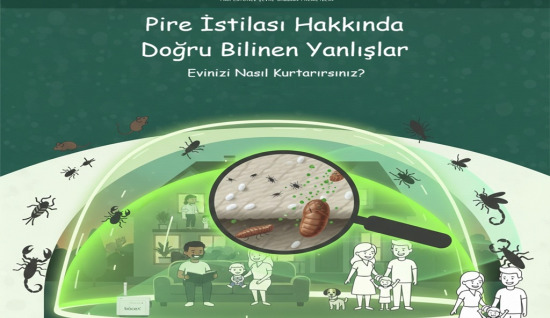 Pire İstilası Hakkında Doğru Bilinen Yanlışlar