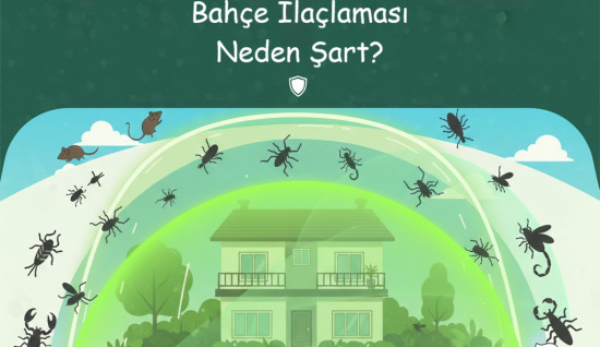 Yaz Mevsimi Gelmeden Önce Bahçe İlaçlaması Neden Şart?