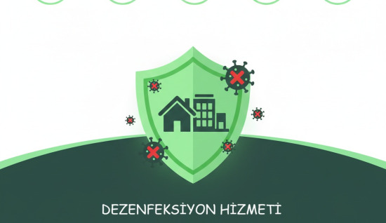 Dezenfeksiyon ve İlaçlama Arasındaki Fark Nedir? Neden İkisine de İhtiyacınız Var?